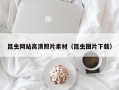 九江昆虫网站高清照片素材（昆虫图片下载）