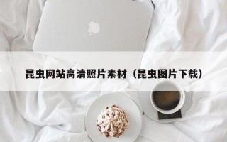 九江昆虫网站高清照片素材（昆虫图片下载）